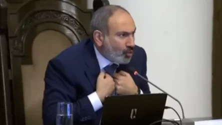 ՏԵՍԱՆՅՈՒԹ. Ինչ հաջողություն մենք այսօր ունենք, ամբողջը ի հեճուկս է պետական կառավարման համակարգի. Փաշինյան