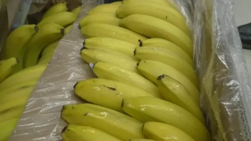 ՌԴ է ներմուծվել վարակված բանան. ներկրման աշխատանքները դադարեցվել են