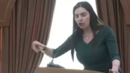 ՏԵՍԱՆՅՈՒԹ․ Ասում էիք` հպարտ եմ, որ որդիս ծնվել է Սերժ Սարգսյանի երդմնակալության օրը․ Վարդանյանը՝ քաղաքապետին