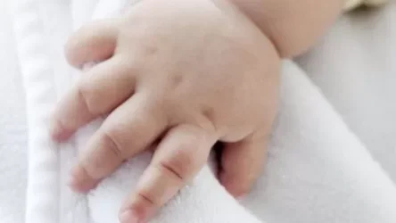 Երեխաների ապօրինի որդեգրման գործով Ռազմիկ Աբրահամյանից բացի ձերբակալվել է նաև 2 անձ . նոր մանրամասներ