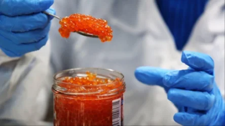 «Ռոսսելխոզնադզոր»-ը Հայաստանից ներկրված կարմիր ձկնկիթի մեջ աղիքային ցուպիկի բակտերիաներ է հայտնաբերել