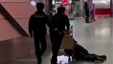 ՏԵՍԱՆՅՈՒԹ. Մոսկվայում հարբած ուղևորին օդանավակայանից դուրս են հանել ճամպրուկների համար նախատեսված փոխադրամիջոցով