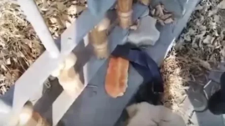 ՏԵՍԱՆՅՈՒԹ․ Քաղաքացիերը սև ժապավեն են ամրացրել ՀՖՖ շենքի դարպասներին