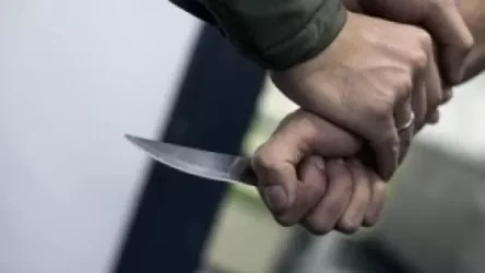 ՏԵՍԱՆՅՈՒԹ. Սևանում 30-ամյա եղբայրը դանակահարել է 24-ամյա եղբորը