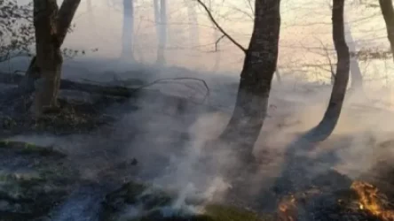 Փրկարարները մարել են խոշոր հրդեհը