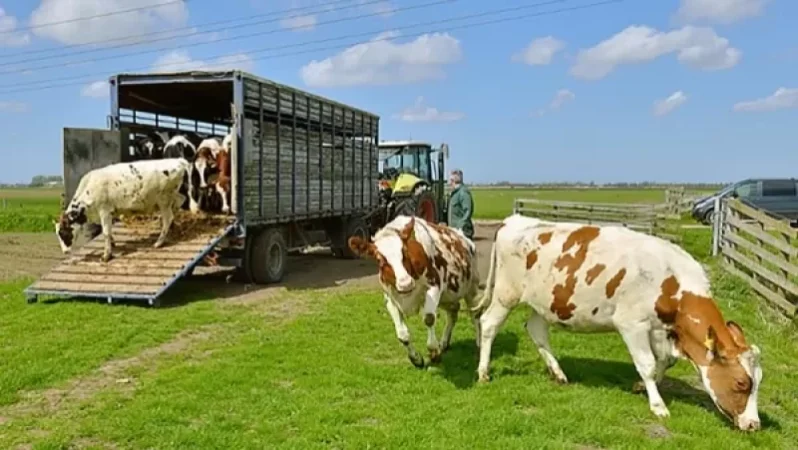 Իրանի տարածքով կենդանիների տարանցիկ արտահանման համաձայնություն կա. «Հայաստանի Հանրապետություն»