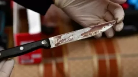 ԼՈՒՍԱՆԿԱՐՆԵՐ. Ավտոդպրոցի մոտ երկու անչափահաս տղայի են դանակահարել