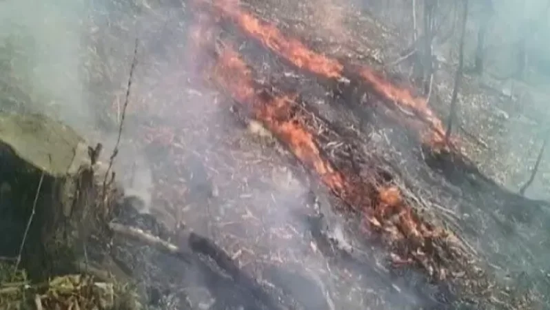 Հայ–վրացական սահմանի հրդեհը մարվել է. ԱԻՆ