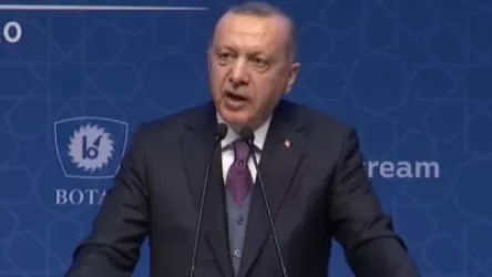 Էրդողանը` տարածաշրջանում տիրող իրավիճակի մասին