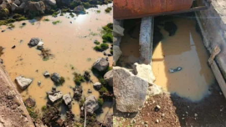 Ամուլսարում խմելու ջուրը վերածվել է կեղտաջրի․ բնապահպան Թեհմինե Ենոքյան