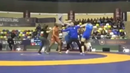 ՏԵՍԱՆՅՈՒԹ․ Ստամբուլում բախում է տեղի ունեցել ուկրաինացի եւ վրացի ըմբիշների գոտեմարտի ընթացքում