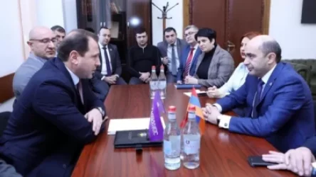 «Լուսավոր Հայաստանը» հանդիպման է հրավիրել Դավիթ Տոնոյանին