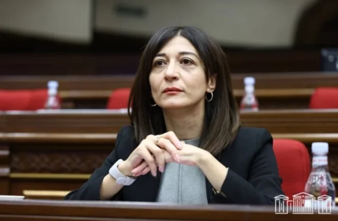 Սա հայաստանյան ընդդիմության դեմքն է, սա է նրանց հույսը, հավատը և սերը. Դավոյան