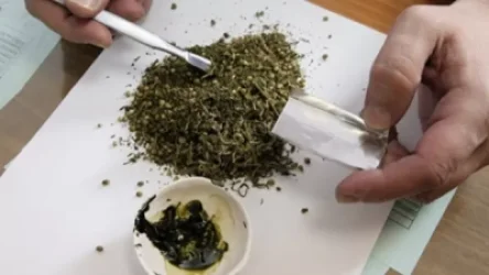 Քրեակատարողական հիմնարկի աշխատակիցները ատամնաբուժարանի սանհանգույցում մարիխուանա են հայտնաբերել