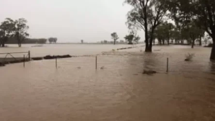 ՏԵՍԱՆՅՈՒԹ․ Ավստրալիայում երկար սպասված անձրև է տեղացել