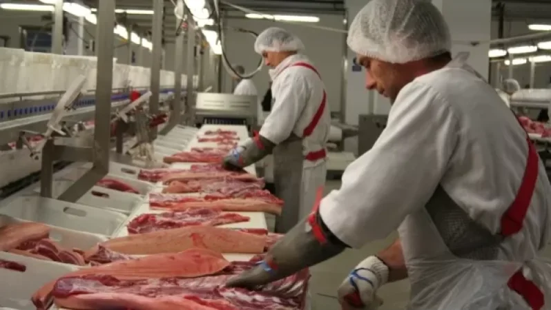 Սպանդանոց կառուցելու ցանկություն հայտնողների քանակը մի քանի օրվա ընթացքում կտրուկ ավելացել է