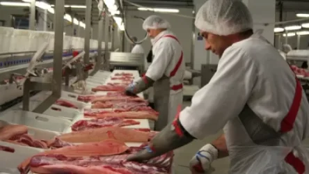 Սպանդանոց կառուցելու ցանկություն հայտնողների քանակը մի քանի օրվա ընթացքում կտրուկ ավելացել է