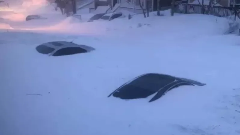 Կանադայի Նյուֆաունդլենդ նահանգը ձնամրրիկից հետո. Գագիկ Սուրենյան