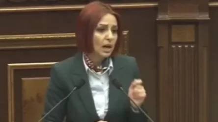 ՏԵՍԱՆՅՈՒԹ. Դուք շատ փոքր մարդ եք. Անի Սամսոնյանը՝ Ջուլհակյանին