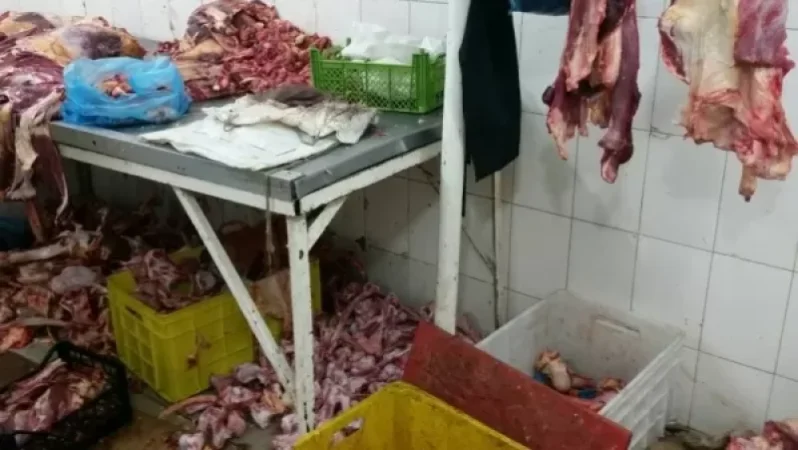 PHOTOS. What Conditions Are Animals Slaughtered Outside the Abattoir