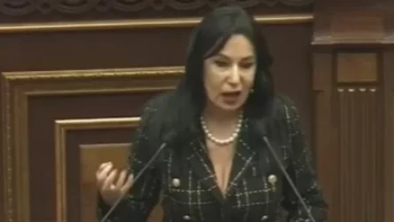 ՏԵՍԱՆՅՈՒԹ. Տիկին Դավոյան, մի որոշեք պարոն Ծառուկյանի փոխարեն, թե այս կամ այն հարցին նա ինչպես պատասխանի․ Զոհրաբյան