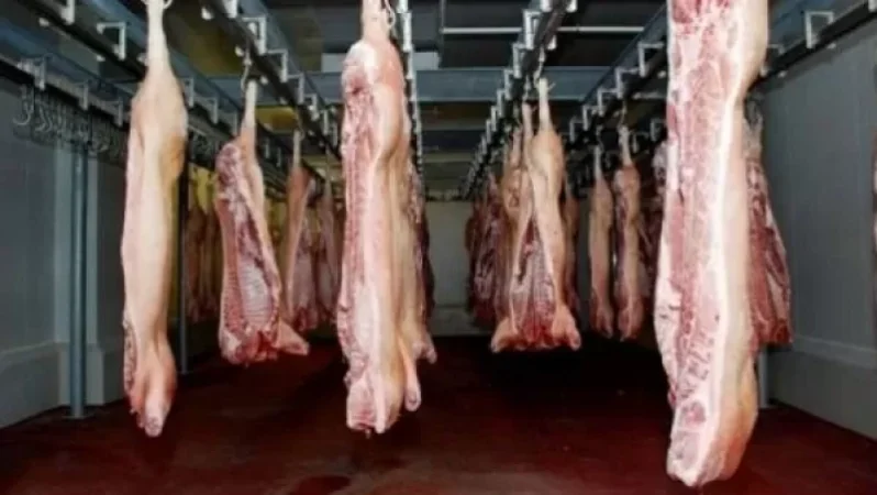 Սպանդանոցների ավելացմանը զուգահեռ գինն իջնելու է․ Անուշ Հարությունյան