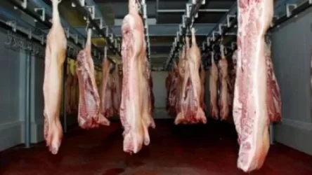 Սպանդանոցների ավելացմանը զուգահեռ գինն իջնելու է․ Անուշ Հարությունյան