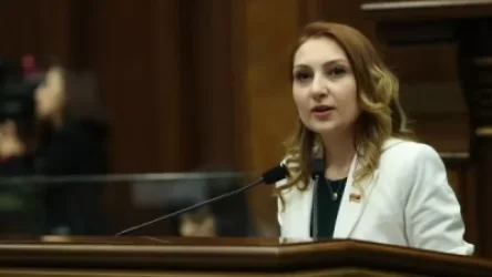 «Իմ քայլը» թեկնածուներ չի առաջադրի քննիչ հանձնաժողովի կազմին և դեմ կքվեարկի դրան». Մակունց