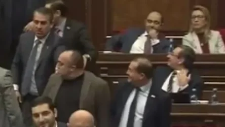 ԼՈՒՍԱՆԿԱՐՆԵՐ. ԱԺ-ում տեղի ունեցած միջադեպի ժամանակ պատգամավոր Գորգիսյանը ժպտում էր
