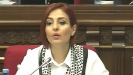 ՏԵՍԱՆՅՈՒԹ. Ձեր բոլոր ելույթներում ցույց տվեցիք ձեր վախերը. Սամոսնյանը՝ «Իմ քայլի» պատգմավորներին