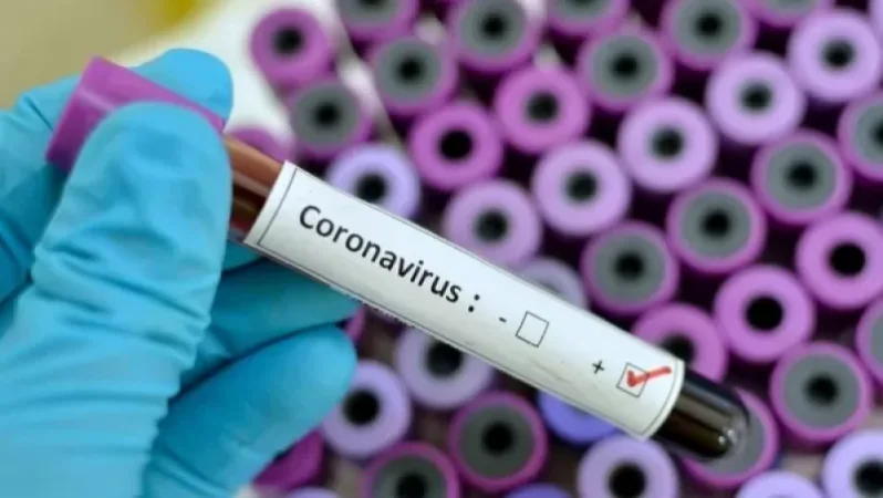 Կորոնավիրուսի փոխանցման գործոնը ծովամթերքից և օձից պատրաստված նախուտեստներն են. ԱՀԿ