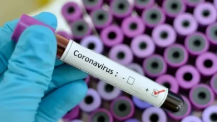 Կորոնավիրուսի փոխանցման գործոնը ծովամթերքից և օձից պատրաստված նախուտեստներն են. ԱՀԿ