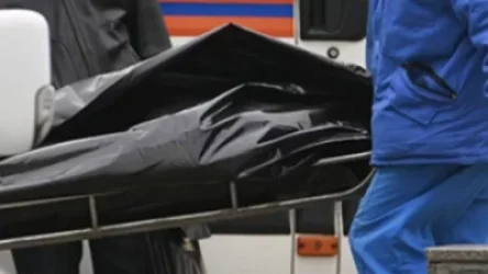 Դրոյի փողոցի տներից մեկում դի է հայտնաբերվել