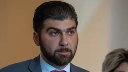 Ավստրալիայում աղվեսը կերակրում է հրդեհների արդյունքում մորը կորցրած կոալայի ձագերին. Սանասարյանի գրառումը