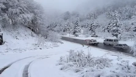 Բուք, մառախուղ, մերկասառույց. ՀՀ ճանապարհների վիճակը ժամը 23:30-ի դրությամբ