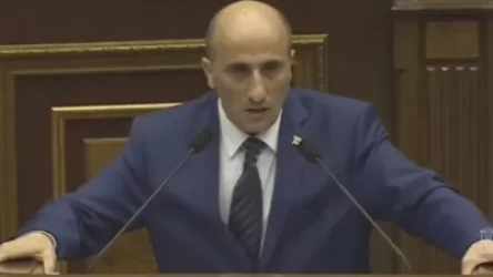 ՏԵՍԱՆՅՈՒԹ. Операция "Ы"` Հովակիմյանը բացահայտեց Հրայր Թովմասյանի  «նպատակը». խորհրդարանական քննարկումներ