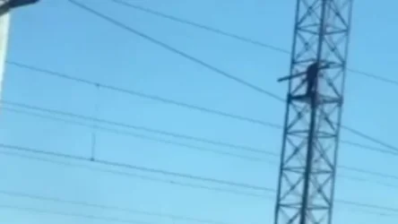 ՏԵՍԱՆՅՈՒԹ. Քաղաքացին սպառնում է ցած նետվել աշտարակից