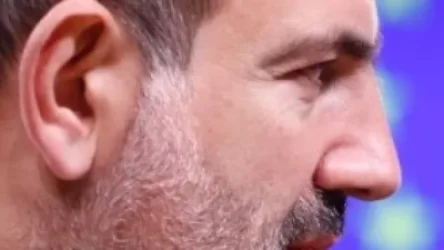 Անկախ փորձագետների կարծիքով 2019 թվականի տնտեսական աճը կկազմի 8.2 տոկոս. Նիկոլ Փաշինյան