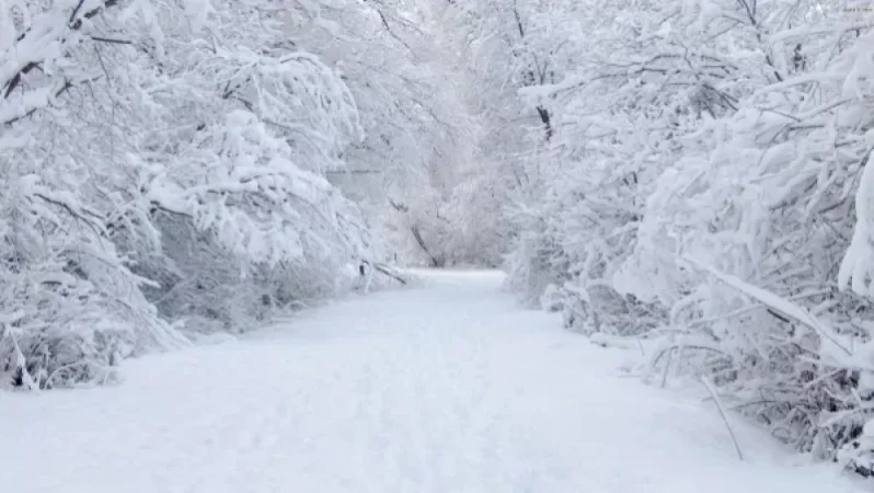 Առաջիկա օրերի եղանակը ՀՀ տարածքում