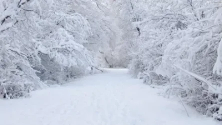 Առաջիկա օրերի եղանակը ՀՀ տարածքում