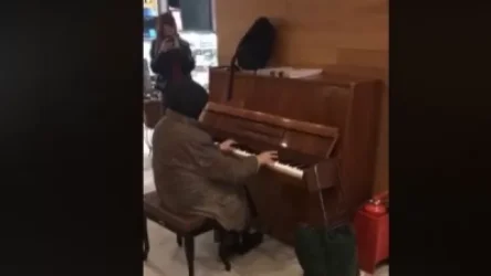 ՏԵՍԱՆՅՈՒԹ․ Մոսկվայում սրճարանի հյուրերից մեկը նվագել է «Արեգակին պետք է հեռվից նայել» երգը