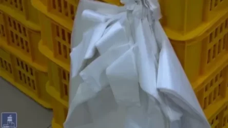 ՏԵՍԱՆՅՈՒԹ. 15 րոպե օգտագործվող տոպրակների քայքայման համար 100-ամյակներ են պետք. Կառավարություն