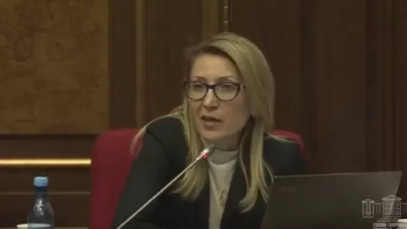 Հարց ուղղում եմ կրթության, գիտության… պարո՛ն Հարությունյան, Ձեզ․ Մանե Թանդիլյան