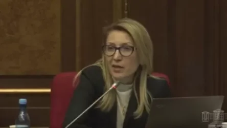 Հարց ուղղում եմ կրթության, գիտության… պարո՛ն Հարությունյան, Ձեզ․ Մանե Թանդիլյան