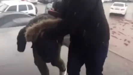 ՏԵՍԱՆՅՈՒԹ.  Թիվ 57 երթուղու ավտոբուսում գողացել էր դրամապանակը և բռնվել նույն պահին