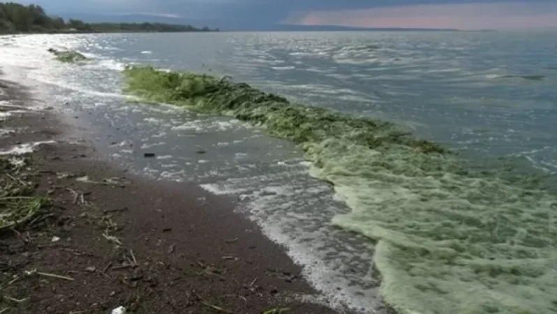 Եվրոպան 5 մլն եվրո կհատկացնի Սևանի մաքրությանը