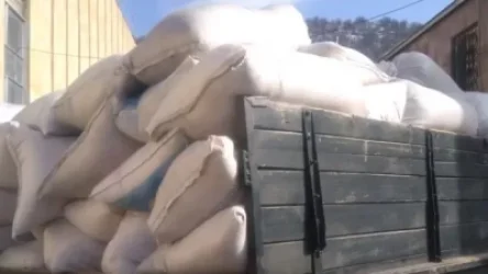 ՏԵՍԱՆՅՈՒԹ․ Դիլիջանում ապօրինի փայտանյութը քողարկել էր թեփի պարկերով