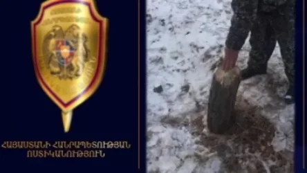 ՏԵՍԱՆՅՈՒԹ. Ապօրինի ծառահատում «Սևան» ազգային պարկում. հարուցվել է քրեական գործ