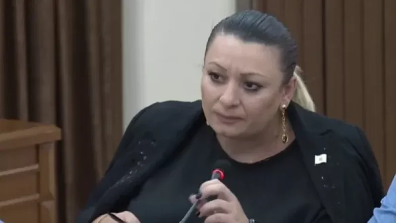 Դասախոսություն լսելու կարիք չունեինք, պարոն նախարար. մենք քայլեր ենք ուզում. ավագանու անդամ Անի Խաչատրյան