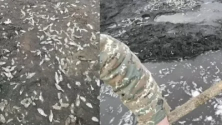 ԼՈՒՍԱՆԿԱՐՆԵՐ. Շահնազար գյուղի մոտ լիճը չորացել է, ձկները՝ սատկել. ահազանգ